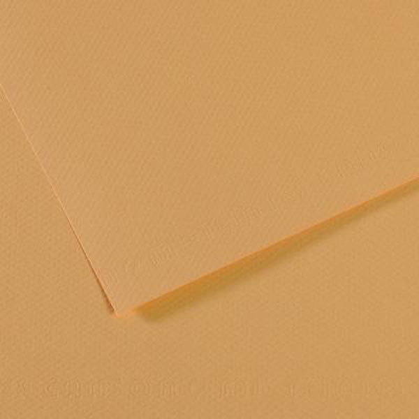 Canson - Papier pastel Mi-Tteintes - A4 Oyster (340)
