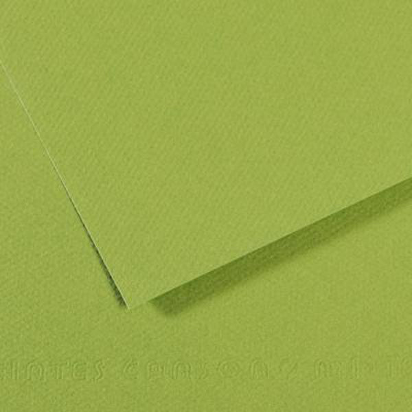 Papier pastel de Canson - MI-Tteintes - A4 Green (475)