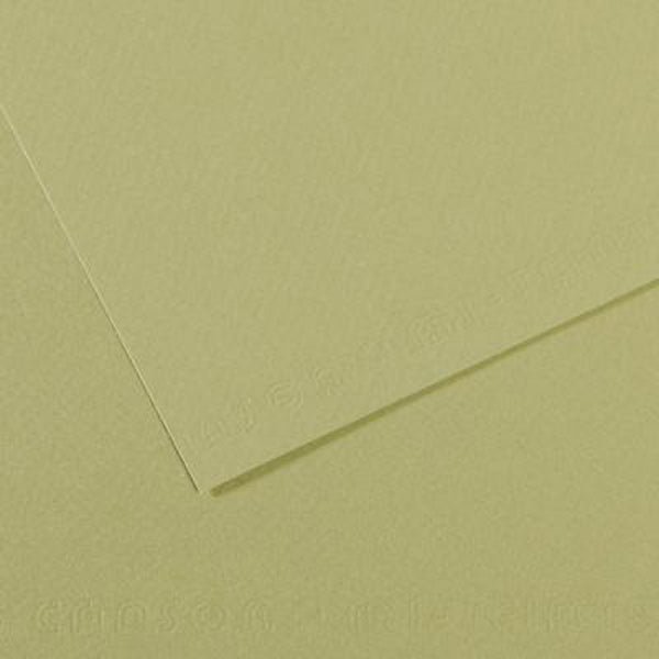 Papier pastel Canson - MI-Tteintes - A4 vert clair (480)