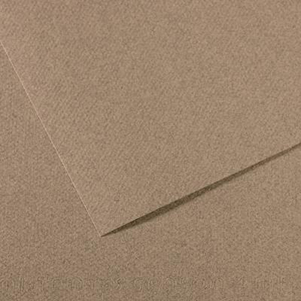 Canson - MI -Teintes Pastel Paper - A4 Steel Grey (431)