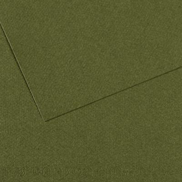 Canson - Mi-Teintes Pastel Paper - A4 Ivy (448)