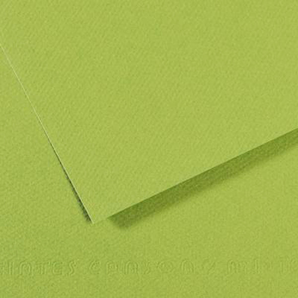 CANSON - Vivaldi Posterbaper - 50 x 65 cm 120GSM Bright Green