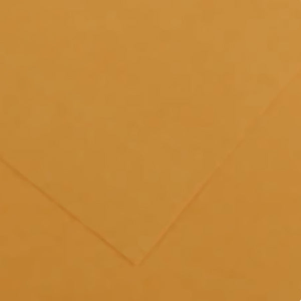 CANSON - Papier d'affiche Vivaldi - 50 x 65cm 120gsm cuir