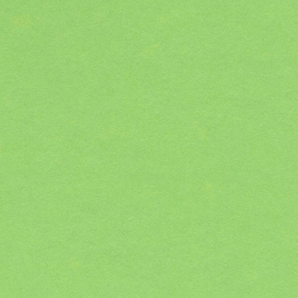 Canson - Vivaldi Card - A4 240g Apple Green