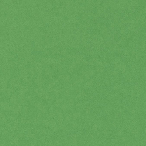 CANSON - Vivaldi -kaart - A4 240G Bright Green
