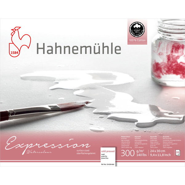 Hahnemuhle - Blocco di carta per acquerello Expression 300gsm Pressato a freddo CP 24x30cm