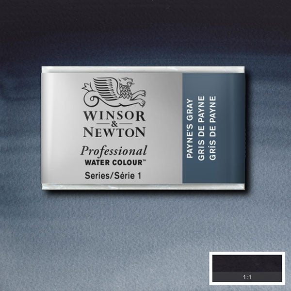 Winsor and Newton - Professional Artists' Watercolour Whole Pan - WP - Paynes Grey