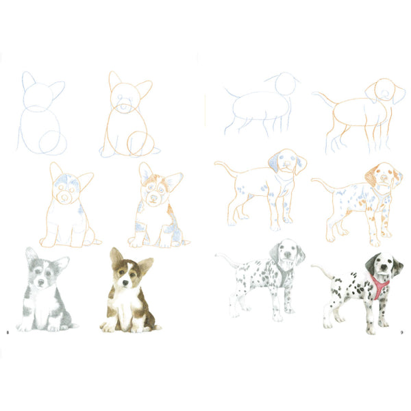 Search Press Books - How to Draw - Puppies
