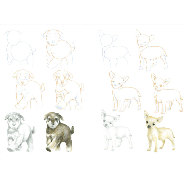 Cerca Press Books - Come Disegnare - Cuccioli