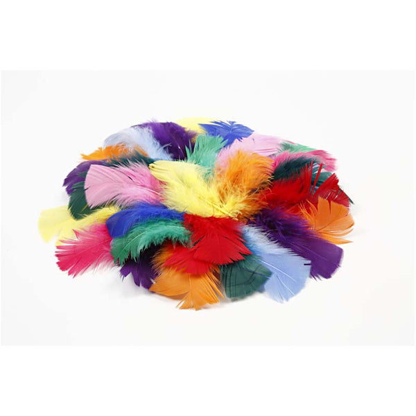 Créer Craft - Feathers -7 à 8 cm - Couleurs assorties - 50g