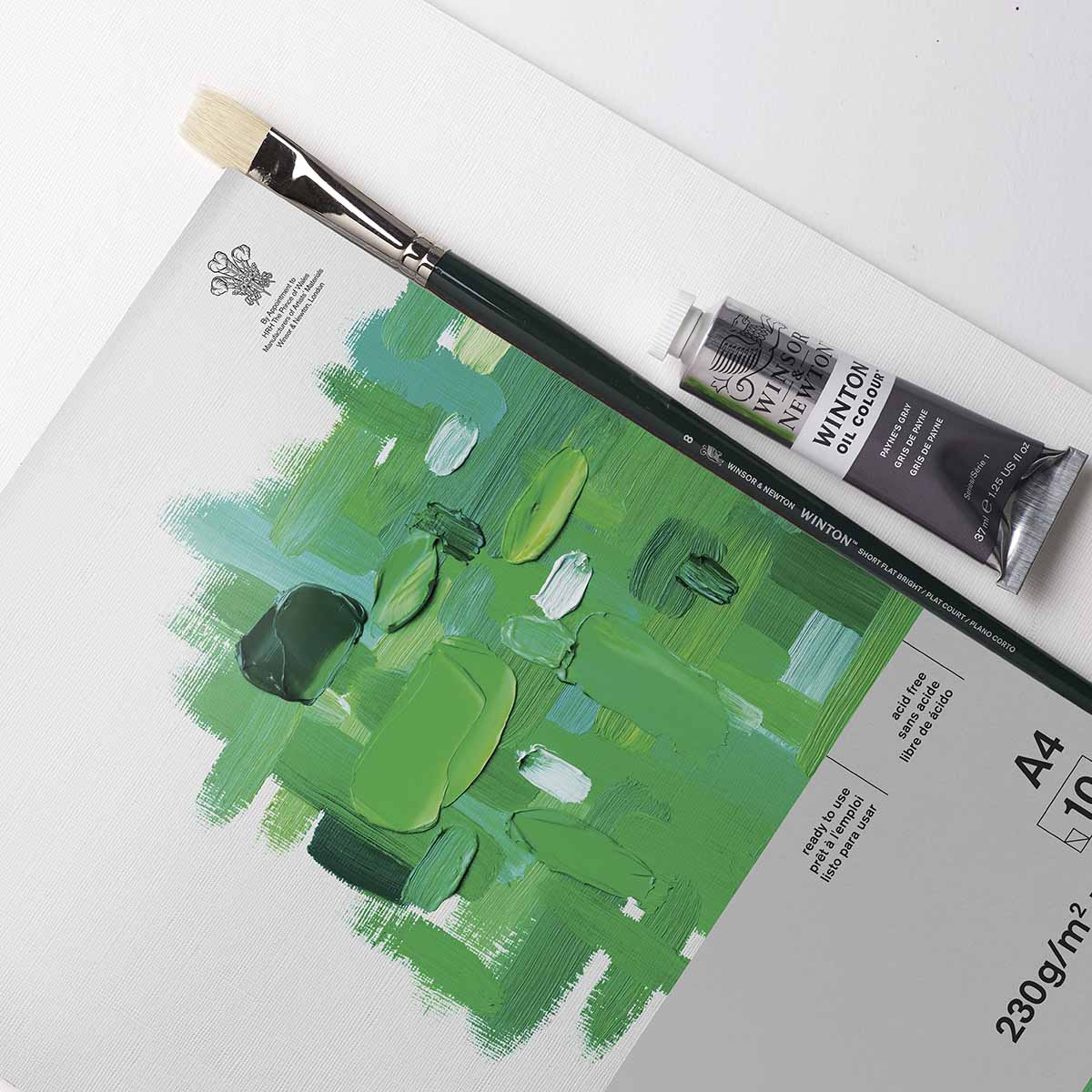 Winsor et Newton - Tampon de couleur d'huile - A4 230gsm - 10 feuilles