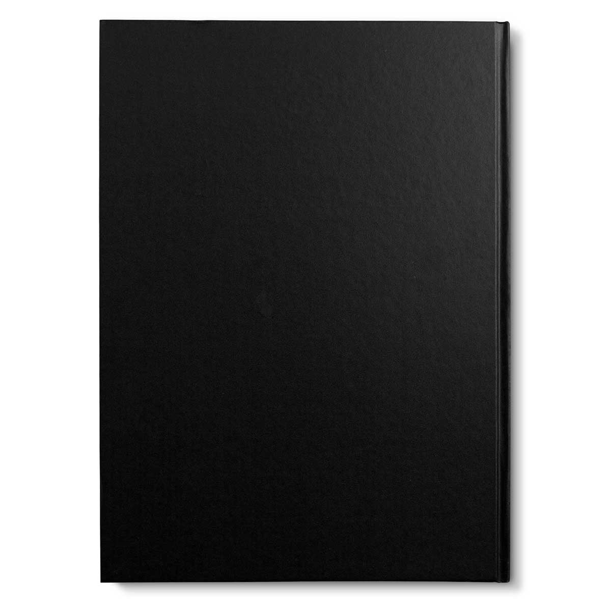 Winsor and Newton - Hardback Bound Sketch Book - 170g A3