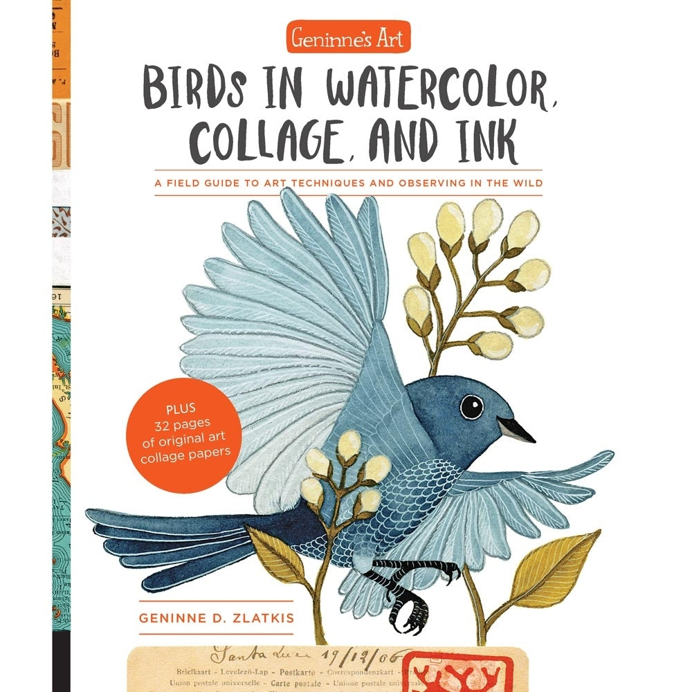 Walter Foster - Vögel in Aquarell Collage und Tinte