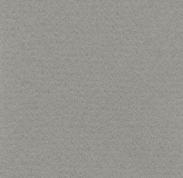 Hahnemuhle - Carta pastello - Lanacolours - 50x65cm - Grigio freddo