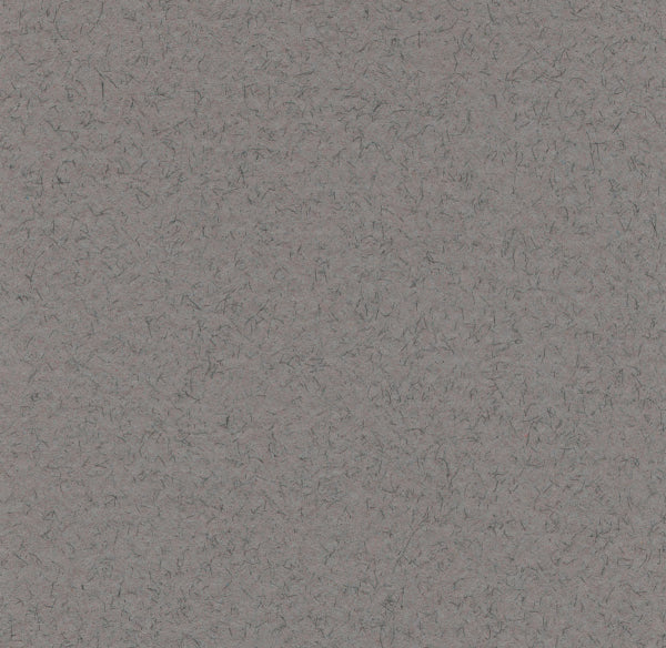 Hahnemuhle - Carta pastello - Lanacolours - 50x65cm - Grigio acciaio