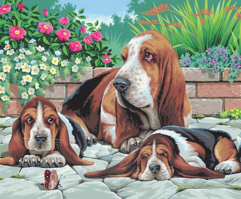 KSG - Large Painting By Numbers - Basset Hounds