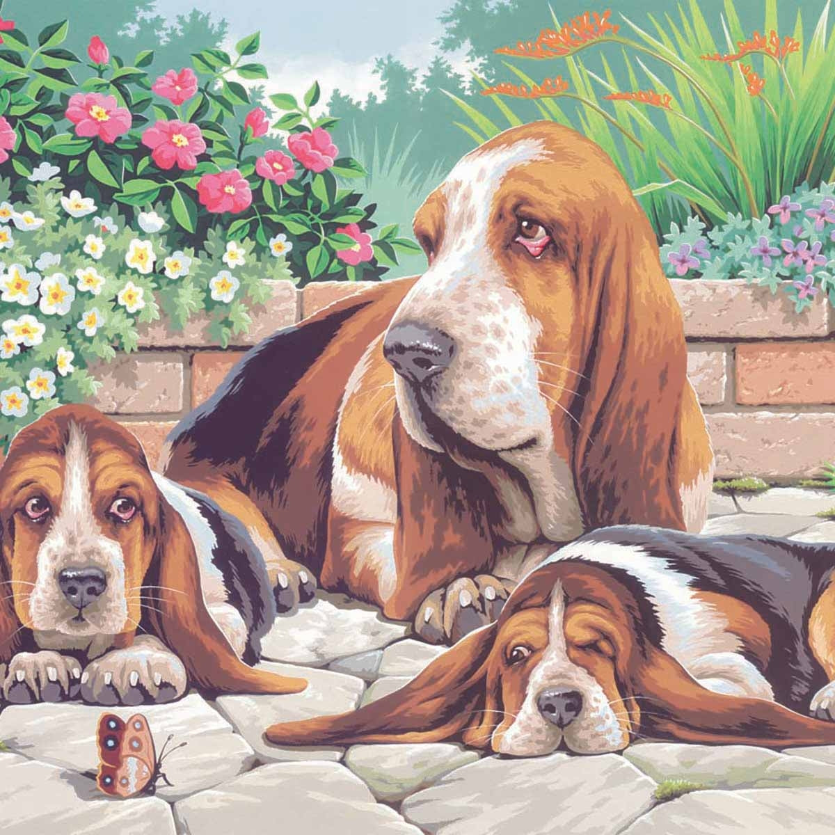 KSG - Large Painting By Numbers - Basset Hounds