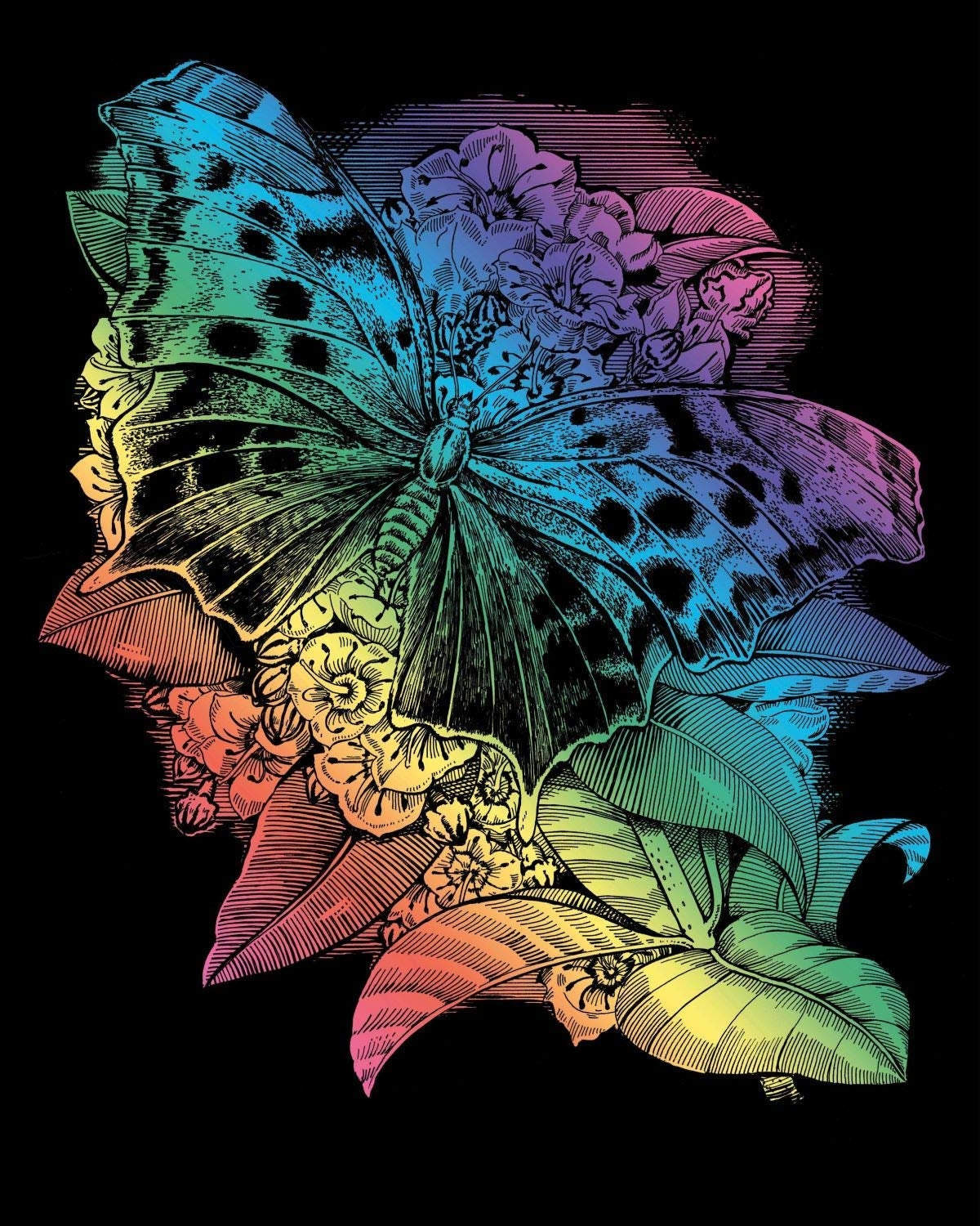 KSG - Foglio di raschietto - Rainbow - Butterfly