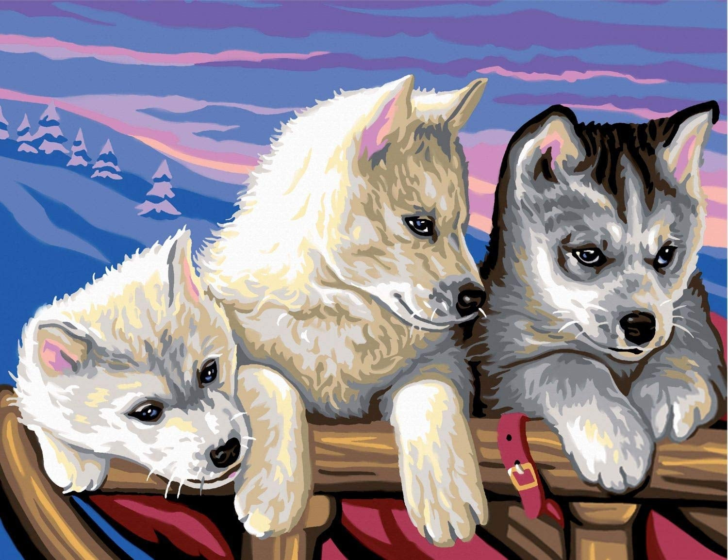 KSG - Grande pittura per numero - Huskies
