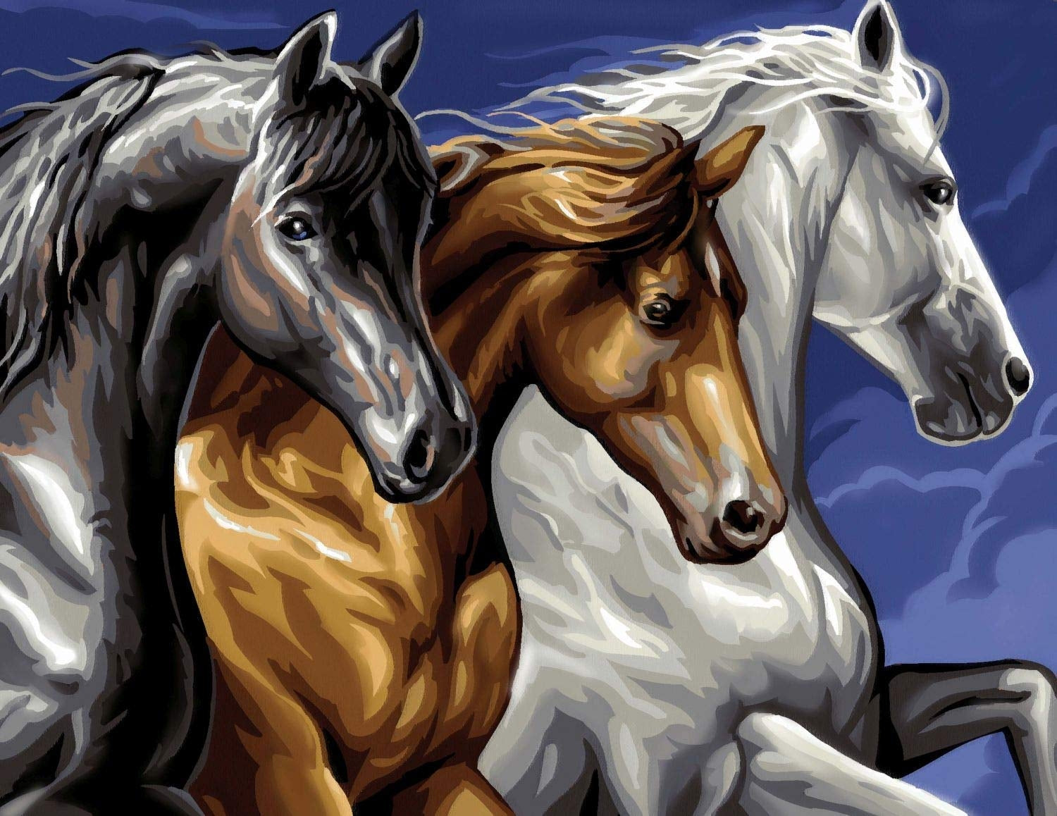 KSG - Groot schilderij door getallen - wilde paarden